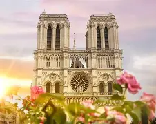 熊猫体育平台-法国杯最新赛程